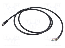 Cable: for sensors/automation; M12; PIN: 12; straight; 2m; socket