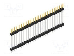Connector: pin strips; pin header; male; PIN: 31; 2.54mm; THT; 1x31