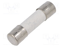 Fuse: fuse; 250mA; 250VAC; ceramic; 20x5mm; brass; bulk