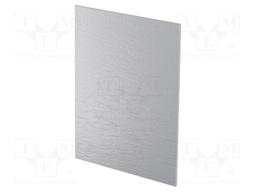 Rear panel; for ITALTRONIC enclosure