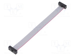 Ribbon cable with IDC connectors; Tape ph: 0.64mm; 101.6mm