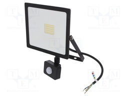 Lamp: LED flood light; 4000(typ)K; IP44; Body: black; 30W; 230VAC
