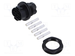 Connector: AC supply; female; 6mm2; screw terminal; socket; 50A