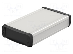 Enclosure: with panel; BOS-Ecoline; X: 120mm; Y: 200mm; Z: 42mm; IP40