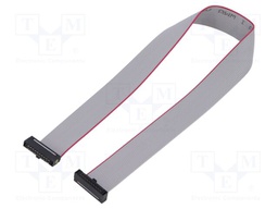 Ribbon cable with IDC connectors; Tape ph: 0.64mm; 254mm