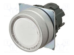 Switch: push-button; 22mm; Stabl.pos: 2; flat; Pos: 2