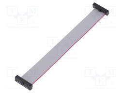 Ribbon cable with IDC connectors; Tape ph: 0.64mm; 114.3mm