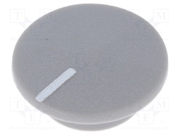 Cap; plastic; push-in; grey; Application: K21