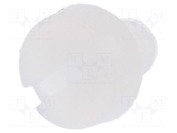 Screw; M3x4; 0.5; Head: cheese head; slotted; 0,9mm; polyamide