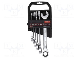 Wrenches set; combination spanner,with ratchet; 6pcs.