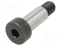 Shoulder screw; Mat: steel; Thread len: 27mm; Thread: M20; ISO: 7379
