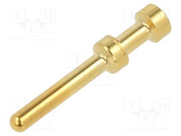 Contact; male; gold-plated; crimped