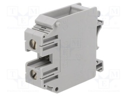 Splice terminal: rail; grey; screw terminal; polyamide; TS32,TS35