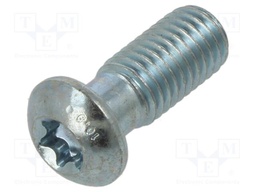 Mounting screw; for profiles