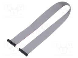 Ribbon cable with IDC connectors; Tape ph: 0.64mm; 381mm