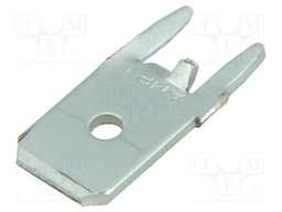 Terminal: flat; 6.3mm; 0.8mm; male; THT; brass; tinned; straight