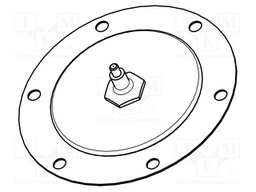 Accessories: membrane