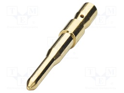 Contact; male; CuZn; gold-plated; crimped