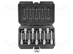 Wrenches set; socket spanner,Torx®; Mounting: 1/2"; 100mm; 9pcs.