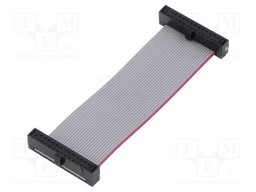 Ribbon cable with IDC connectors; Tape ph: 0.64mm; 57.15mm