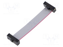 Ribbon cable with IDC connectors; Tape ph: 0.64mm; 50.8mm