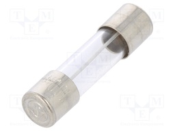 Fuse: fuse; time-lag; 100mA; 250VAC; cylindrical,glass; 5x20mm