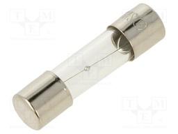 Fuse: fuse; 1A; 250VAC; glass; 20x5.2mm; brass; bulk; nickel plated