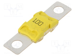 Fuse: fuse; 100A; 32VDC; automotive; BF2; Break.cap: 2000A/32VDC