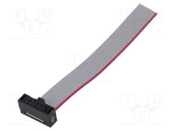 Ribbon cable with IDC connectors; Tape ph: 0.64mm; 50.8mm