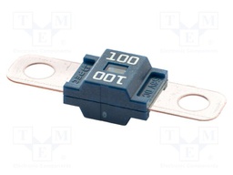 Fuse: fuse; 100A; 58VDC; automotive; 41mm; M6 screw; 41x12mm