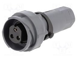 Connector: circular; plug; female; PIN: 3; Buccaneer 7000; UL94V-0