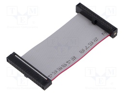 Ribbon cable with IDC connectors; Tape ph: 0.64mm; 50.8mm