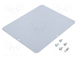 Mounting plate; steel; for enclosures