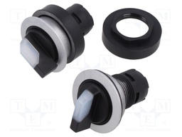 Switch: rotary; 22mm; Stabl.pos: 1; yes; IP65; Pos: 2; Cutout: Ø22.3mm