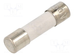 Fuse: fuse; quick blow; 100mA; 250VAC; cylindrical,glass; 5x20mm