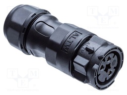 DD-18BMMA-QL8SP0