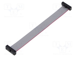 Ribbon cable with IDC connectors; Tape ph: 0.64mm; 101.6mm