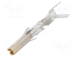 MiniFit Term Crp Fem Lse Bz 30Au 18-24