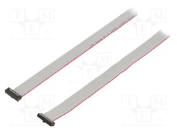 Ribbon cable with IDC connectors; Tape ph: 0.64mm; 1778mm