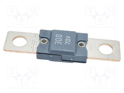 Fuse: fuse; 300A; 70VDC; automotive; 68mm; M8 screw; 68x16mm