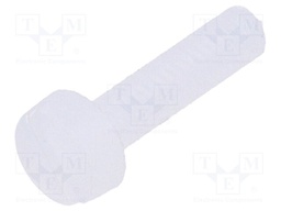 Screw; M2,5x10; Head: cheese head; slotted; polyamide