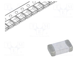 Fuse: fuse; 10A; 24VDC; SMD; ceramic; Case: 1206; SFH