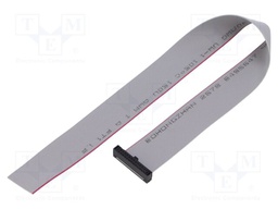 Ribbon cable with IDC connectors; Tape ph: 0.64mm; 254mm