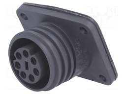 Connector: circular; socket; female; PIN: 7; EXPlora; nickel plated