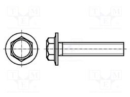 Screw; with flange; M5x10; Head: hexagonal; none; steel; zinc