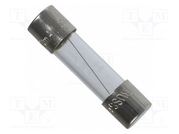 Fuse: fuse; time-lag; 10A; 250VAC; cylindrical,glass; 5x20mm; brass