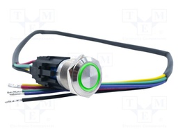 ANTI VANDAL SWITCH, SPDT, 3A/250VAC/PANL
