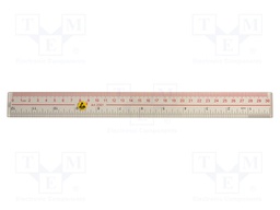 Ruler; ESD; 300mm; EN 61340-5-1; ABS; <0.1MΩ; 30g