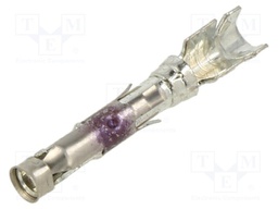 III+SKT,18-14,TIN STRIP LP