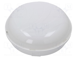 Lamp: LED lighting fixture; PANDA LED; polycarbonate; 4000(typ)K